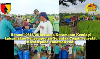 Koramil 0815/06 Bersama Kecamatan Kemlagi Laksanakan Penyemprotan Serentak Cegah Penyakit Kresek pada Tanaman Padi